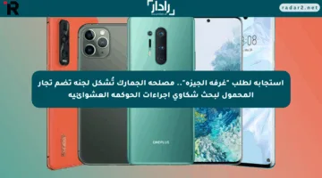 استجابة لطلب “غرفة الجيزة”.. مصلحة الجمارك تُشكل لجنة تضم تجار المحمول لبحث شكاوى إجراءات الحوكمة العشوائية
